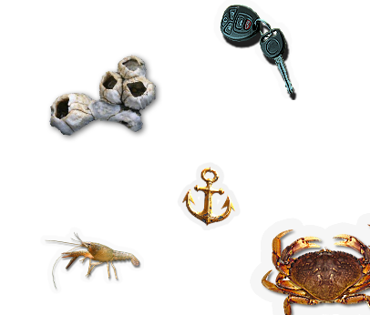Composite image 4