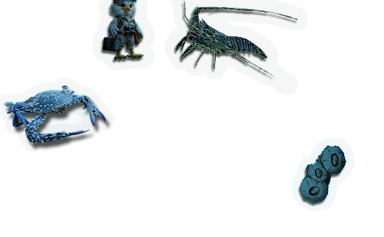 Composite image 6