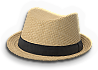 BSL-hat08