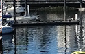 HOT-harbour