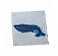 Whale