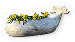 Whale