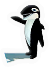 Whale