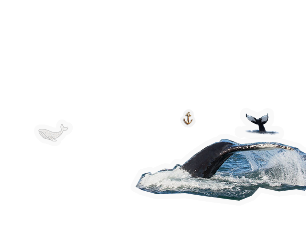 Composite image 6