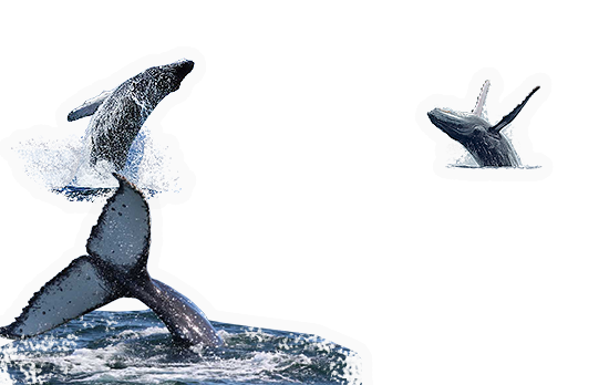 Composite image 12