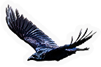 Crow