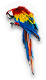 INS-parrot