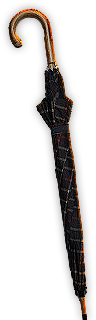 Umbrella