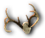 Antlers