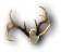 Antlers