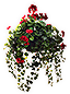 Flower Basket