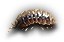 Pill Bug