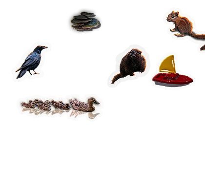 Composite image 4