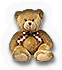 BSL-bear_04
