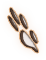 Paw Print