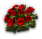 Red Roses