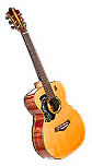 BSL-guitar_04