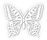Butterfly Print