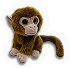 BSL-monkey_02