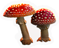 Fly Agaric