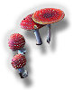 Fly Agaric