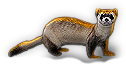 Polecat