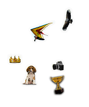 Composite image 4