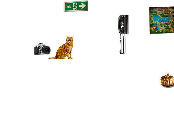 Composite image 6