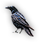 Crow