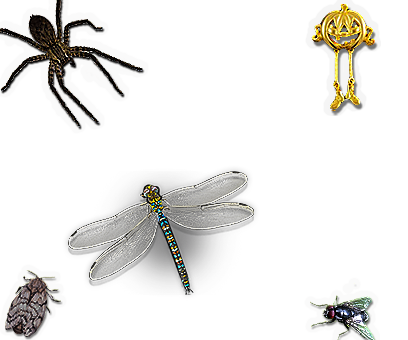Composite image 6