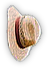 INS-gardenHat