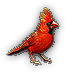 Cardinal