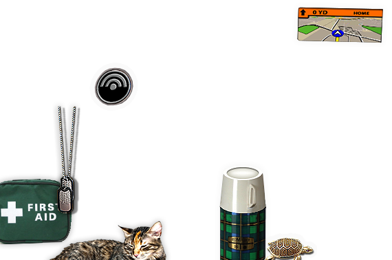 Composite image 4