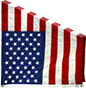 INS-flag