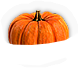 INS-squash