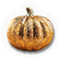 BNS-pumpkin