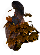 HOT-leaves