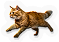 Cats  Bats