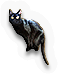 Cats  Bats