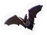 Cats  Bats