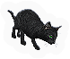 Cats  Bats