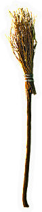 Broomstick