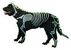 Skelo-Dog
