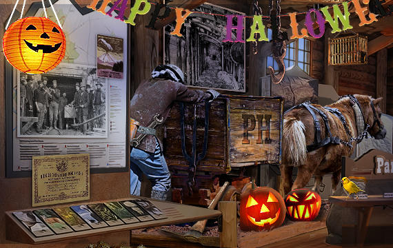 Composite image 3