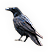 Crow