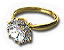 BSL-ring_06