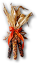 Indian Corn