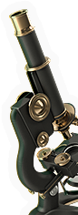 Microscope