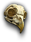 Animal Skull