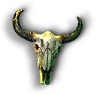 Animal Skull
